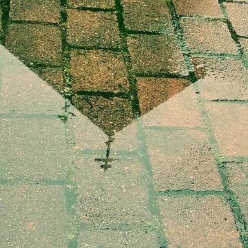 Seize Your Salvation