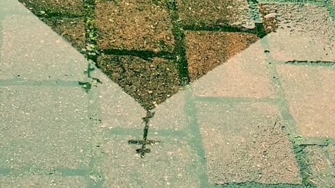 Seize Your Salvation