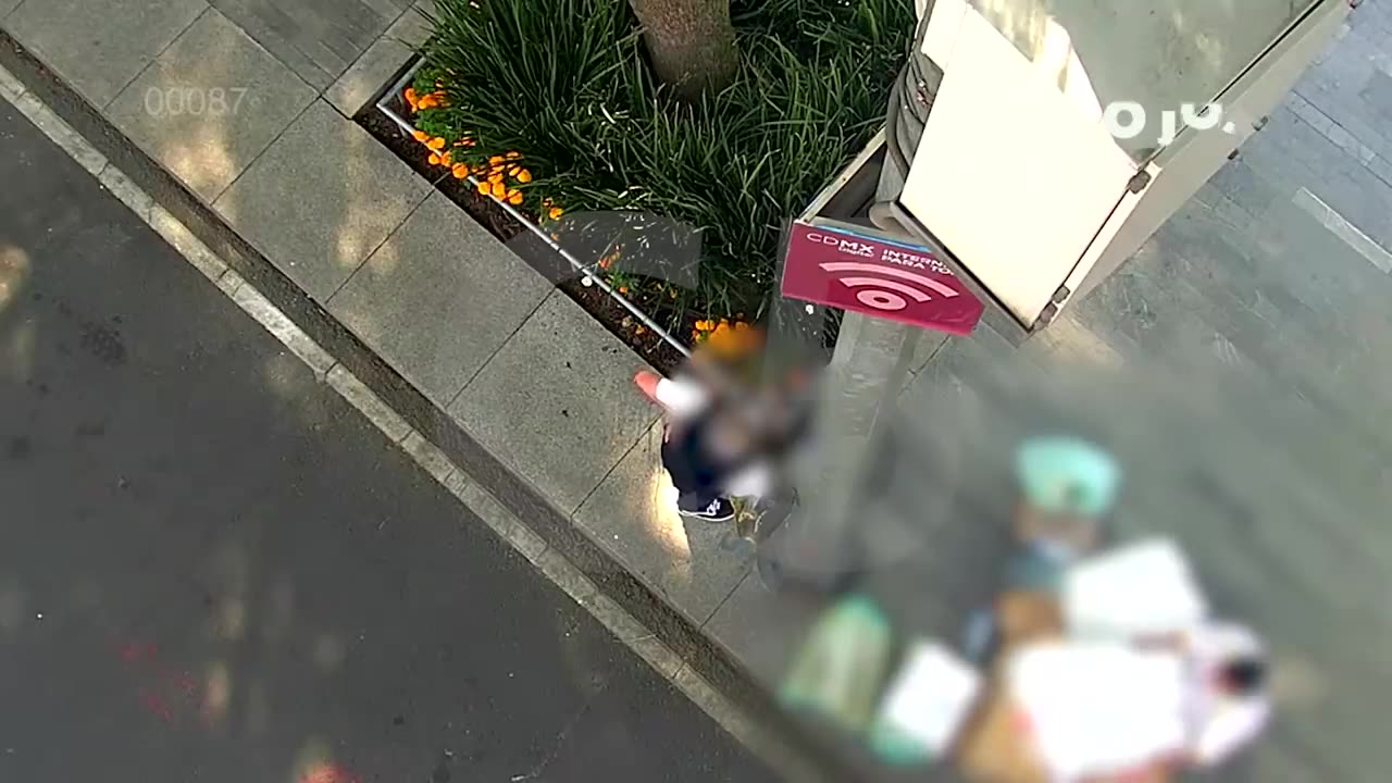 Casos Relevantes Semana 08 - 14/11/25 | #C5CorazónDeLaCDMX