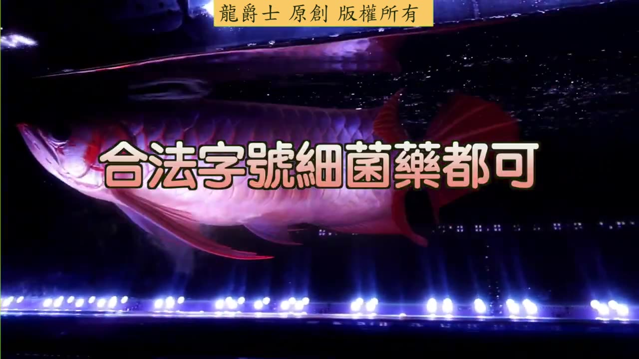 【龍爵士】千問千答 Q201 浮背要用甚麼消炎藥黃藥可以嗎