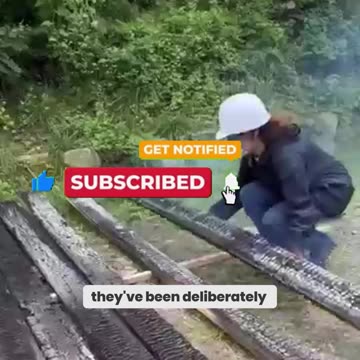 Why Are People Burning Their Own Homes? Shocking Betrayal Exposed!