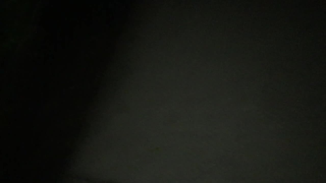 Summer Night Adventure