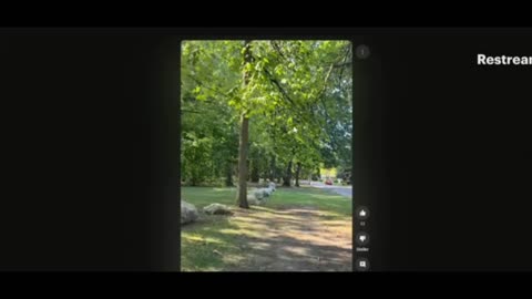 Someone wants to lay hands?:Dirty Truckin