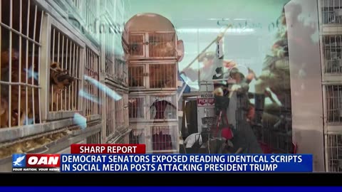 Democrats Exposed Spreading Identical Anti-Trump Propaganda Online