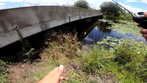 🎣 Fishing w/ SNAKES & RATS in a HIDDEN Swamp (BIG FISH!) by KickinTheirBASSTV 🐍🐟🌿