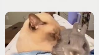 😂😂 Let His Intrusive Thoughts Win! | FunFM
