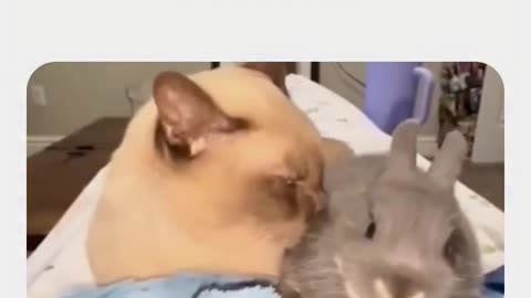 😂😂 Let His Intrusive Thoughts Win! | FunFM