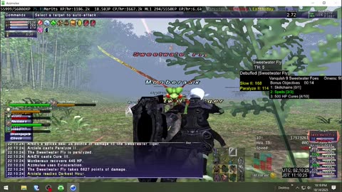 Playing Final Fantasy XI Online