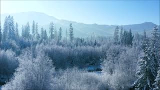 Reflecting Christmas Cactus Sept 2022