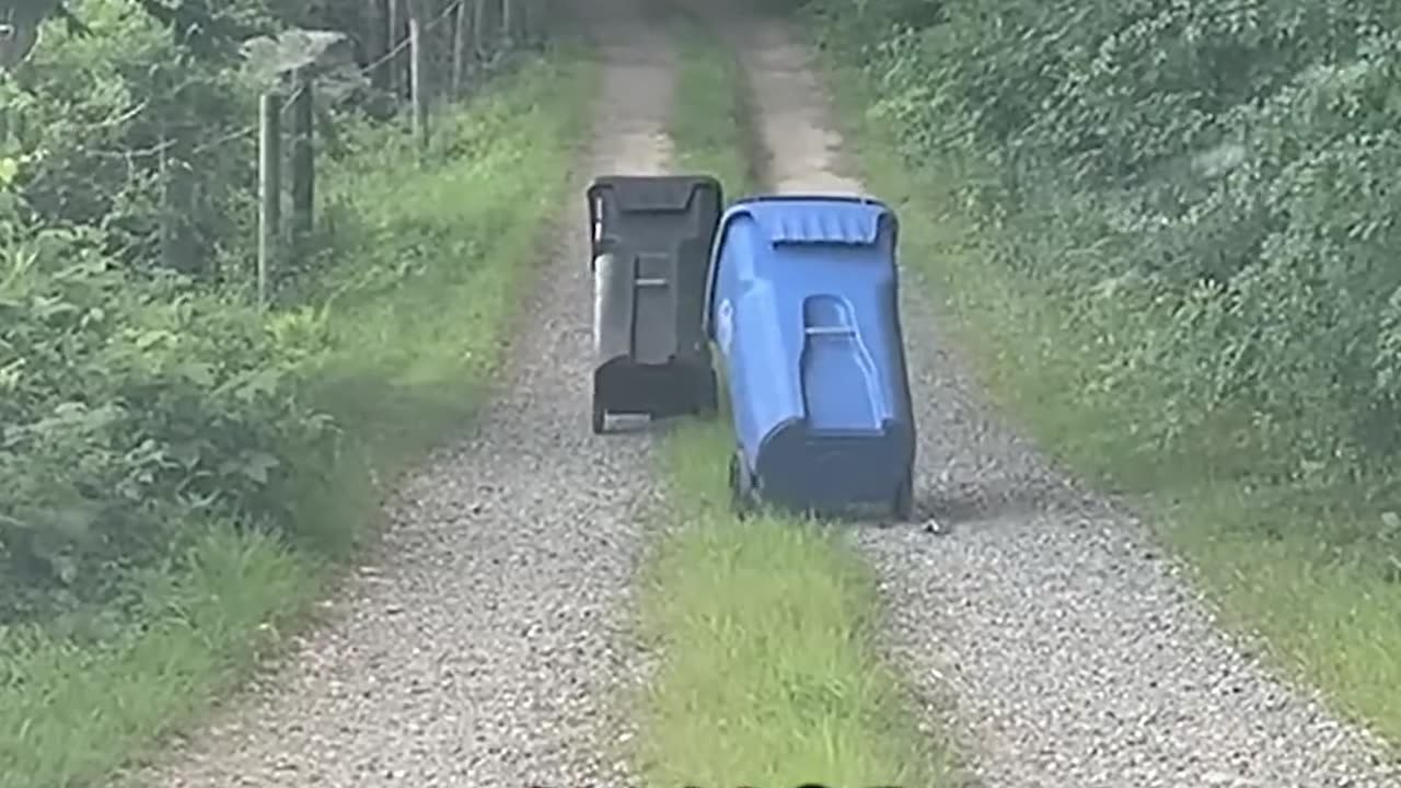 Why Is This Trash… MOVING?!