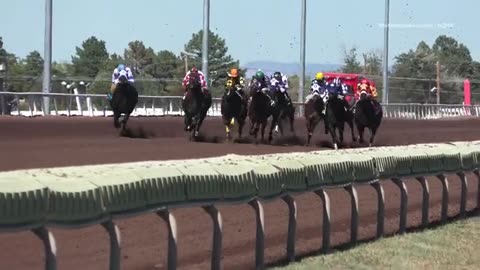 Horse trainer suspended after a racehorse tested positive for meth
