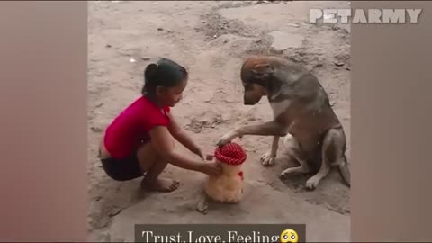 30 Minutes of Cutest Baby and Dog Friendships Ever! 🐶👶❤️