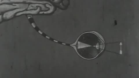 Life Unveiled: Man’s Science 1929