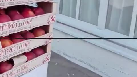 Only the freshest and best food for our illegal migrants.