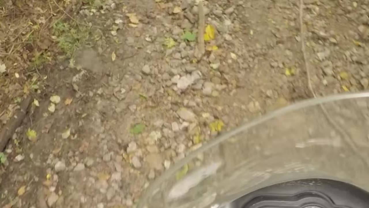 short technical section on the Buell