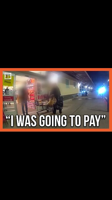 "Sorry, I Was Going to Pay for This!" Shoplifter Gets Caught Immediately by Police Officers