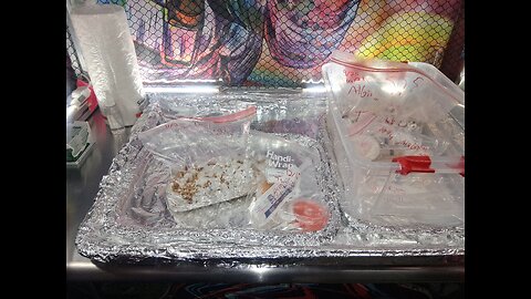 Preparing Viewers' Gifts 🎁 On my Birthday 🎊 🎂 😁 Mycology Mondays #134