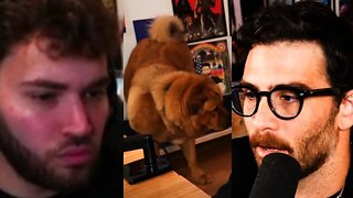 Adin Ross Reacts To Hasan Abusing His Dog!