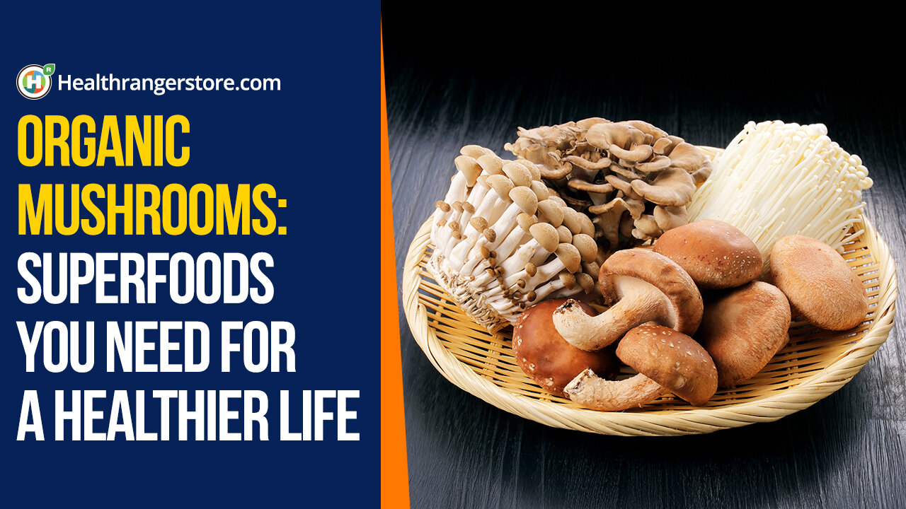 Organic Mushrooms: Superfoods you need for a healthier life