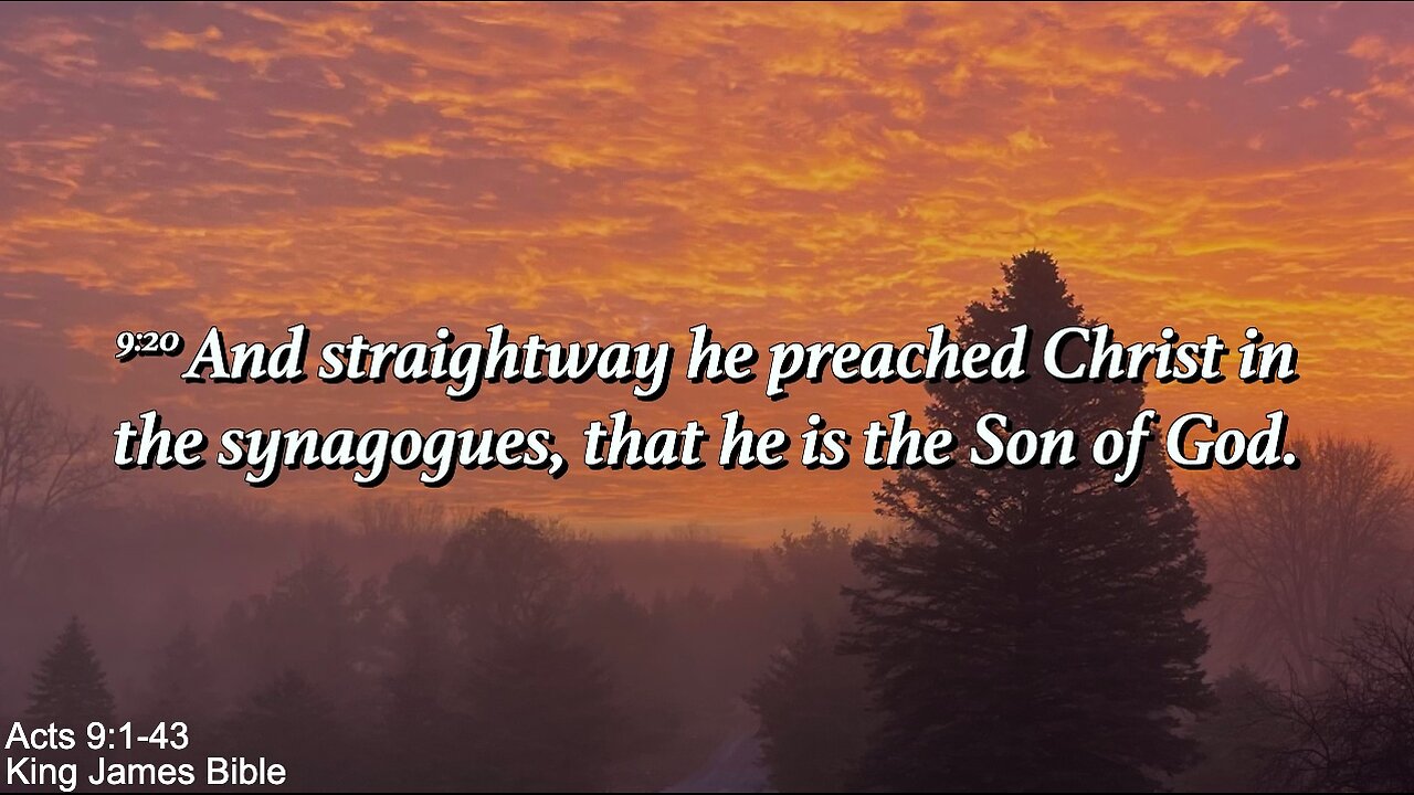 Wednesday Evening, November 19th - The Word of God Part 3