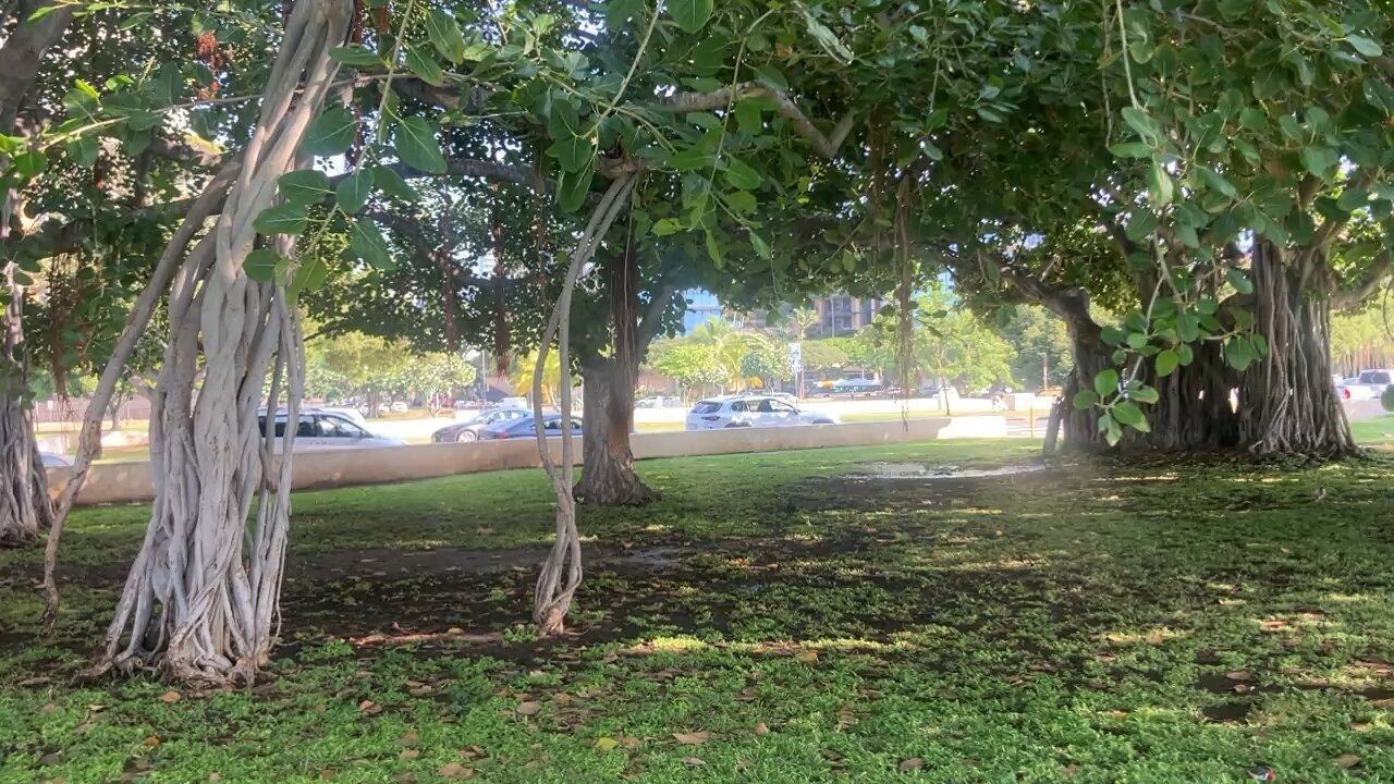 Ala Moana beach park on Saturday