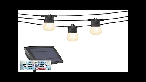 Beams S14 Bulb Solar LED Weatherproof Outdoor String Lights 27 feet Black Review