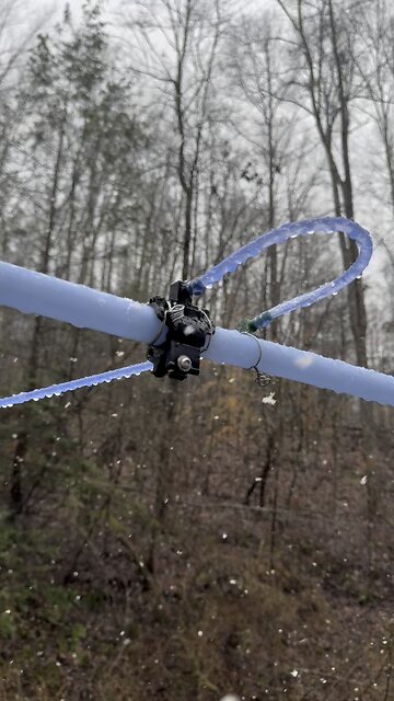 Snow is flying, sap is flowing