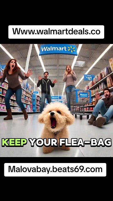 Walmart Dogs
