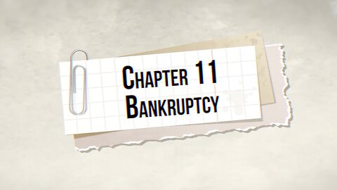 Chapter 11 Bankruptcy Explained in 20 Seconds