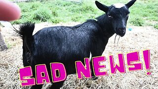 SAD News! What HAPPENED To Her BABIES!