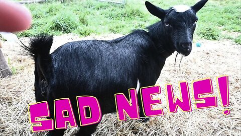 SAD News! What HAPPENED To Her BABIES!