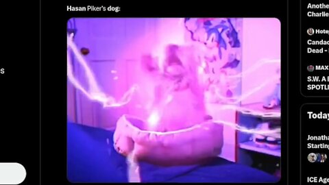 HASAN AB*SES ANIMALS