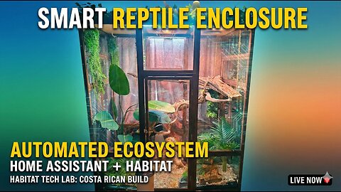 🦎 Habitat Tech Lab: Costa Rican Build | Automating a Living Ecosystem