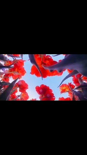 WHAT IS THE SPIRIT-FILLED LIFE? ❤️