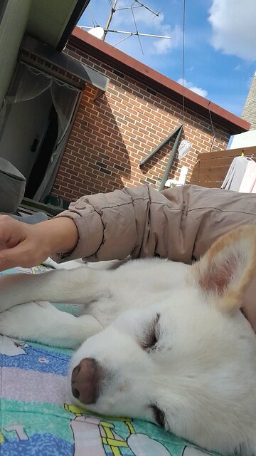 20251024. God Is Love.