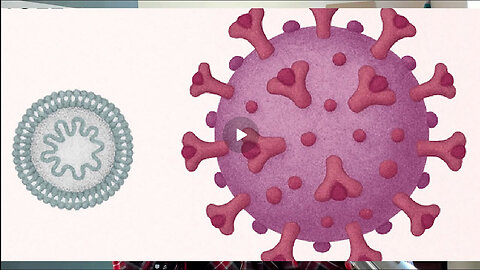 Covid vaccine dangers illustrated - Dr. John Campbell