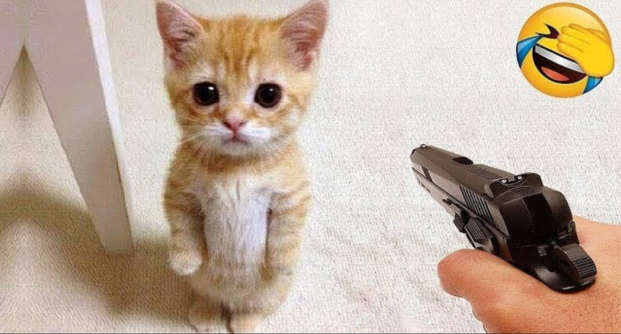 Funniest Cats and Dogs Video 2025. Try not to Laugh.🐶😻
