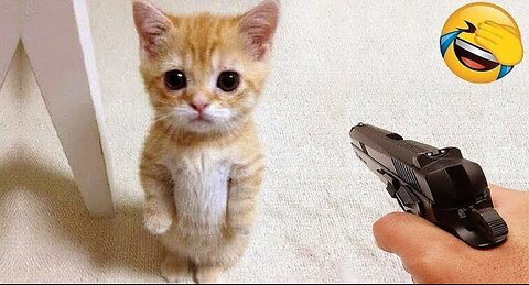 Funniest Cats and Dogs Video 2025. Try not to Laugh.🐶😻