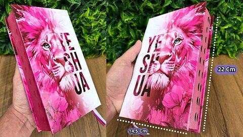 Bíblia Sagrada Feminina Yeshua Rosa