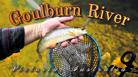 The Goulburn River - 4K Flyfishing - Victoria, Australia