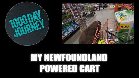 1000 Day Journey 0900 Newfoundland Powered Shopping Cart