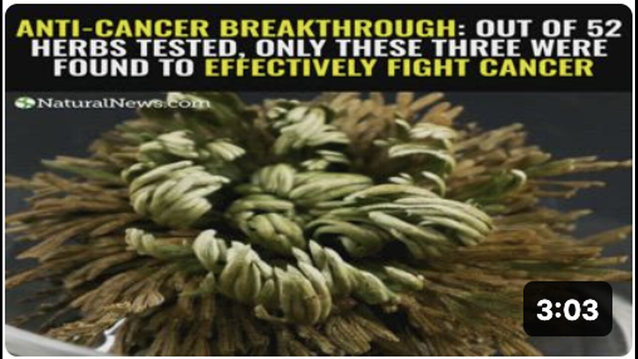 Anti-cancer breakthrough: Out of 52 herbs tested, only these three effectively fight cancer