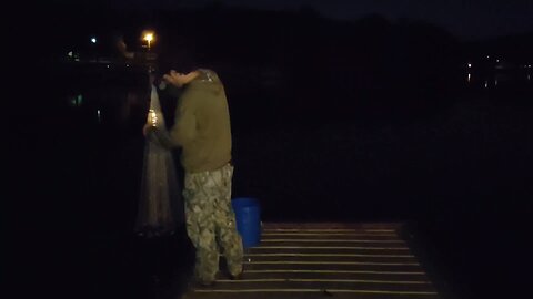 catching bait fish