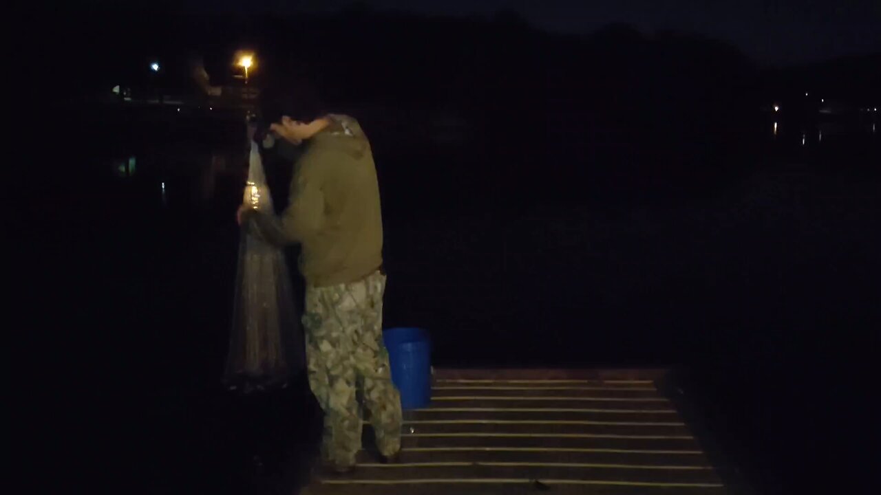 catching bait fish