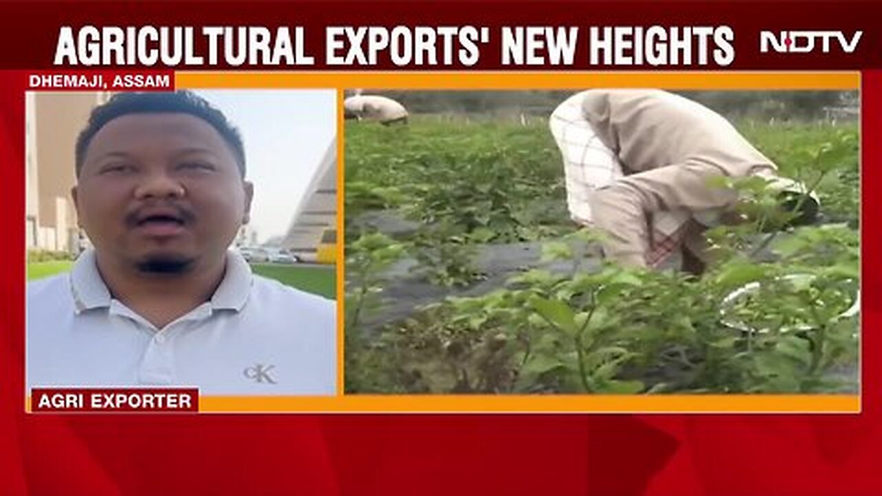 India Agriculture _ India's Agri-Exports Boom, Exotic Northeast Produce In Demand