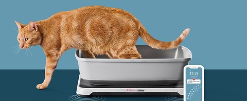 Smart Litterbox Health Monitoring System for Cat Health