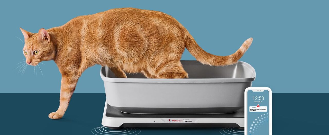 Smart Litterbox Health Monitoring System for Cat Health