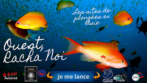 🐠 Racha Noi Ouest, La Côte Sauvage, Entre Grottes de Granit et Trésors Cachés