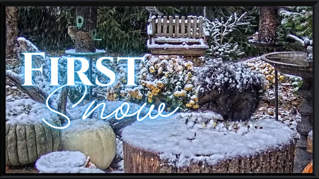 First Snow of the Season