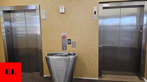 NEW REPLACMENT Schindler 5500 Traction Elevators + A Lone 400A - Golden Nugget (Biloxi, MS)